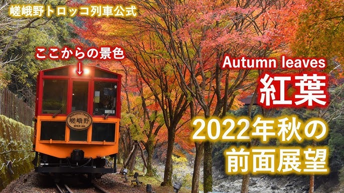 嵯峨野トロッコ列車 秋の運行情報 22年10 11月 紅葉 光の幻想列車 Youtube