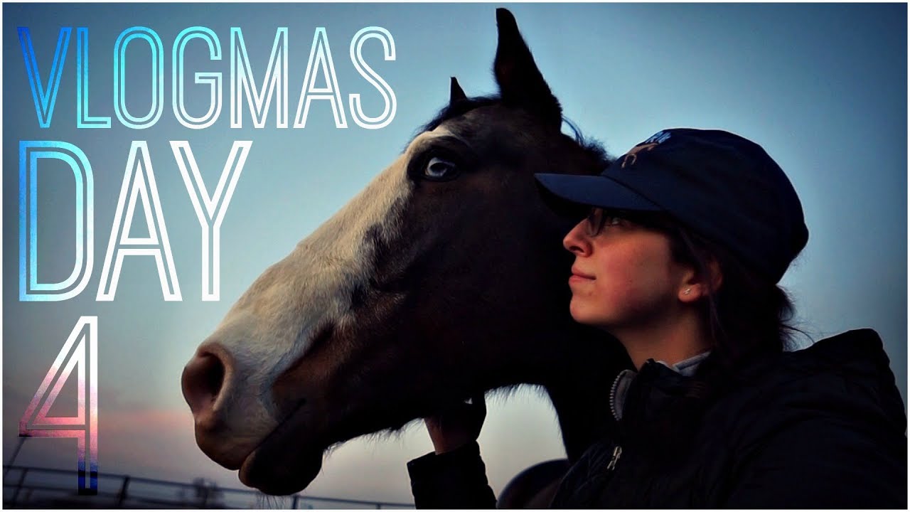horseshoe bend first work then horse-play // vlogmas day 4