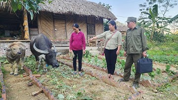 The Late Night Trap: The Gangsters