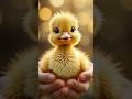 Cute video animals #ytshorts #cute #goat #cartoon#funny#animals #comedy #cat #dog #duck#kitten#kids
