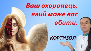 видео: Кортизол адреналін різниця. Підвищений кортизол симптоми у жінок чоловіків, як знизити гормон стресу картинка: Кортизол адреналін різниця. Підвищений кортизол симптоми у жінок чоловіків, як знизити гормон стресу