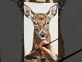 Painting video of deer | Majestic Deer Painting 🦌 Acrylic Art #Shorts  #artshorts