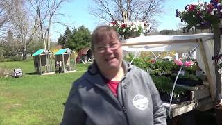2020 Plant Sale and New Hydroponics Preview
