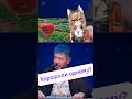 Одному лучше?   #sleduck #sledovatel #kamysh #shorts  #vtuber #funny #натальнаякарта #лебедев