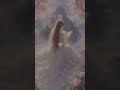 يلا شدو همي وصلوني لا اربع الاف بعرف انكوم كافو يلا شدو همي وصلوني لا اربع الاف بعرف انكوم كافو