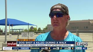 Man warns neighbors after dog shot and killed on walk