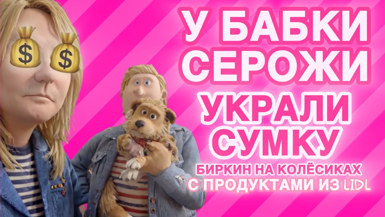 Собачка Симоня на прокат для рекламы чудо «благодетельницы» из Манаки. Украли Биркин на колёсиках.