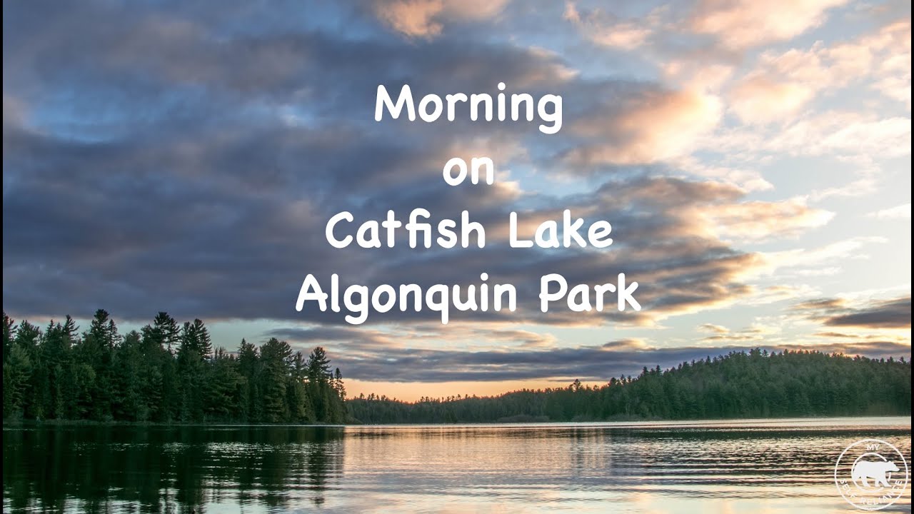 Morning on Catfish Lake, Algonquin Park May 9, 2016 YouTube