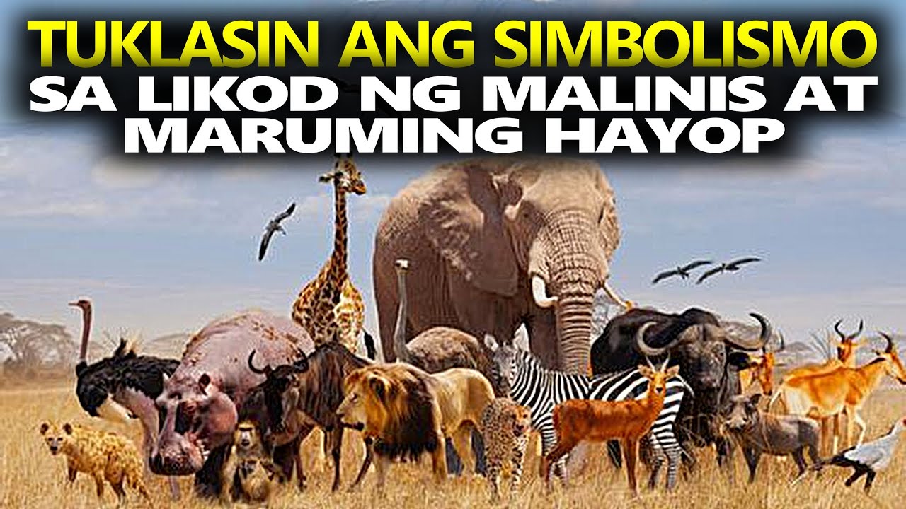 LEVITICUS 11 (Part 1) - Ang Malinis At Maruming Pagkain
