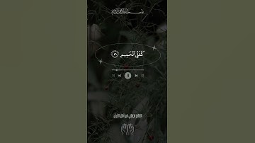 إن شجرت الزقوم طعام الأثيم   القارئ مشاري العفاسي سورة الدخان