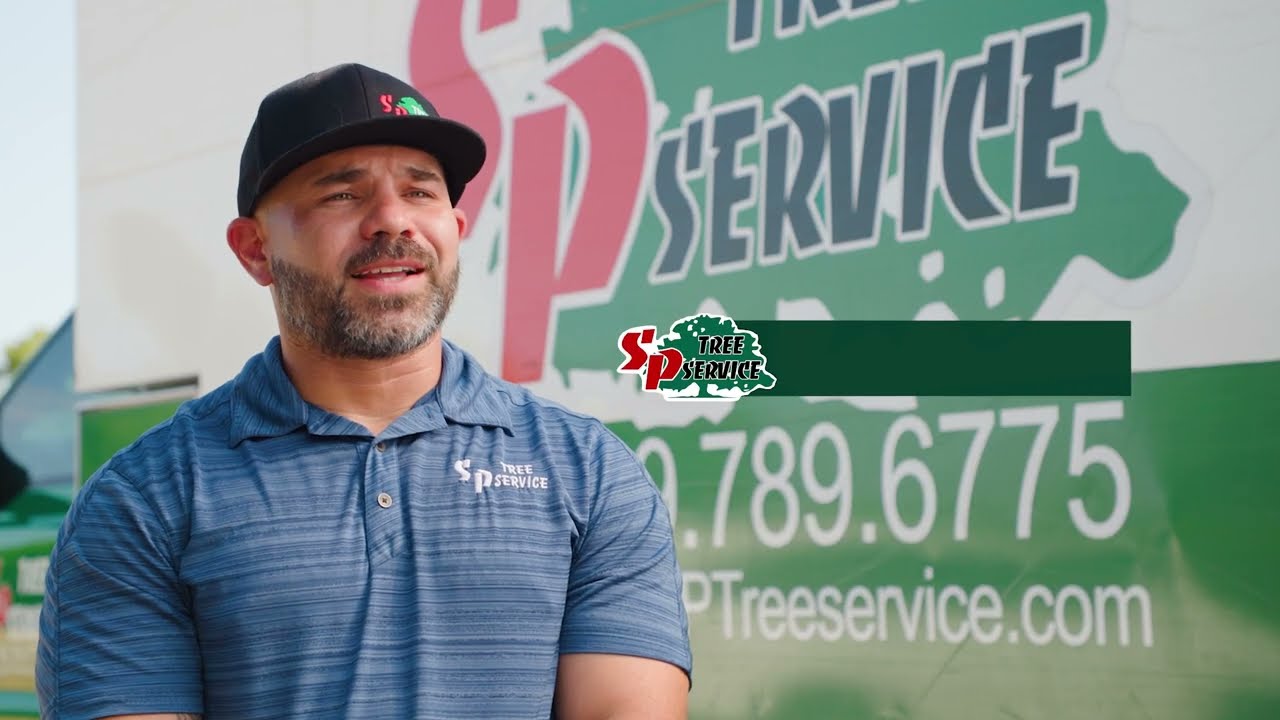 S&P Tree Service Tree Service Dallas Fort Worth Area YouTube