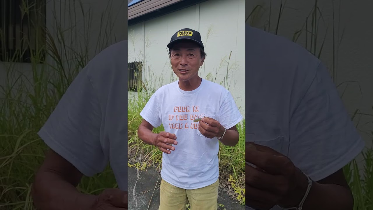 エビタヌキ新色 河辺裕和監修 #009スモーキーシュリンプ