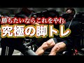 【必見】大会で勝つ人はこれくらい当たり前？IFBBPROボディビルダーが教える究極の脚トレ！