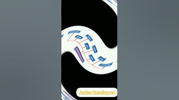 Data types || Java || Tamil || Andva Developers