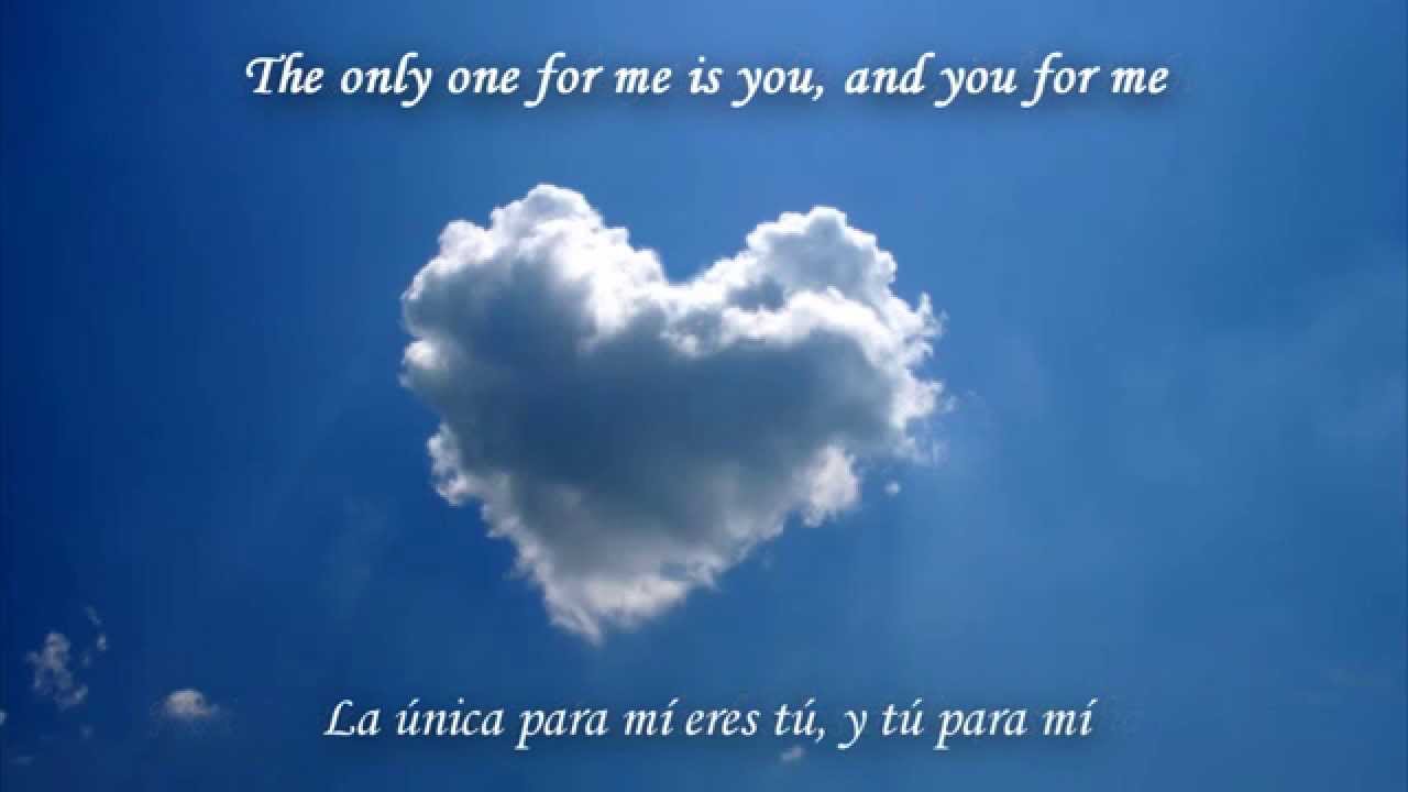 The Turtles So Happy Together Subtitulada Espanol Ingles Youtube The Turtles So Happy Together Subtitulada Espanol Ingles Youtube
