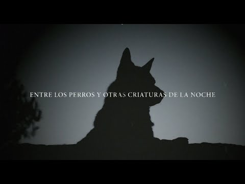 "Escape", el nuevo libro de Dross | Booktrailer