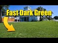 Fast Dark Green Lawn - When and What to Apply Now
