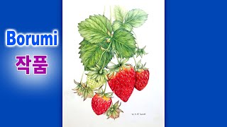 Borumi 작품