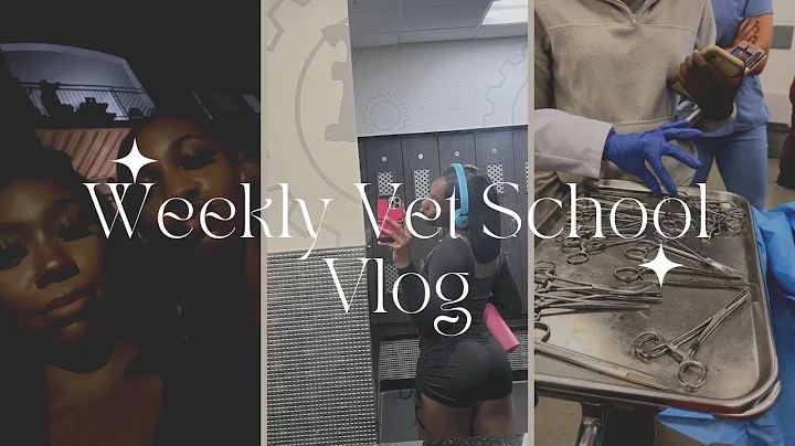 Weekly Vet School Vlog: Week 2 of 3rd year,  Gym Routine & More