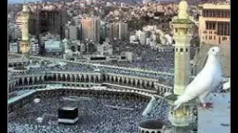 للباحثين عن السكون و الهدوء و التلاوة المريحة من القارئ عبد الرؤوف لعبط