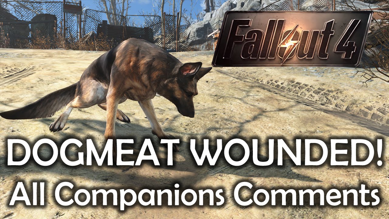 fallout 4 what can dogmeat wear fallout 4 what can dogmeat wear
