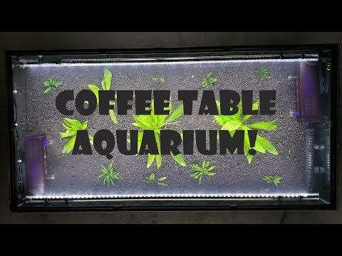 coffee-table-aquarium-build!