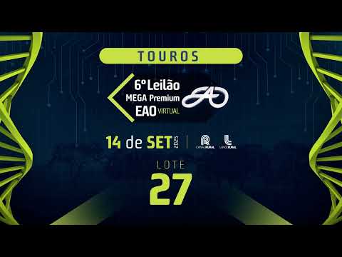 LOTE 27