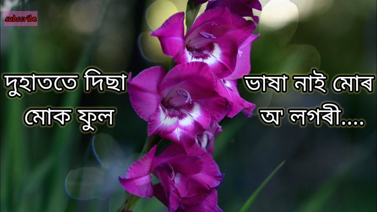      Duhatote Disa Muk Phool  Assamese Old Song    