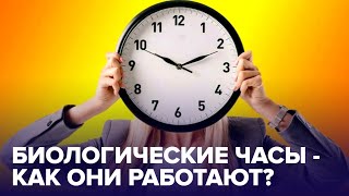 Как настроить БИОЛОГИЧЕСКИЕ ЧАСЫ?