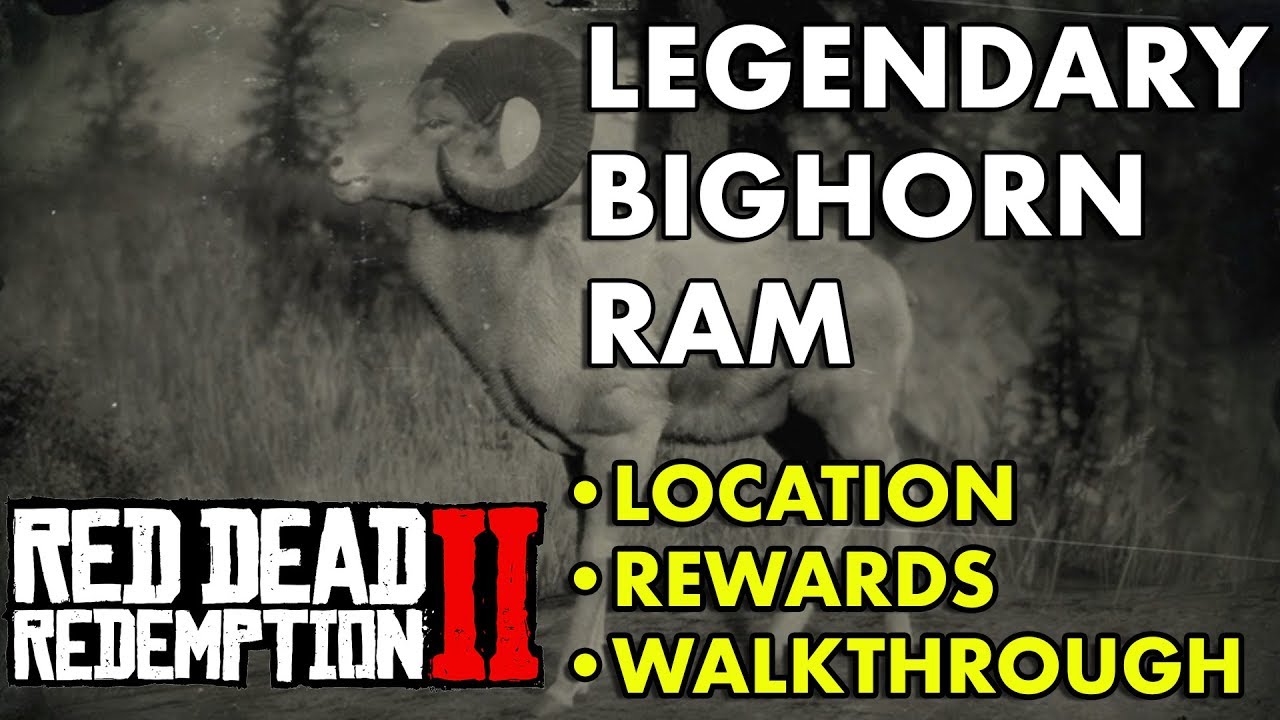 Red Dead Redemption 2 Legendary Bighorn Ram (Location, Rewards