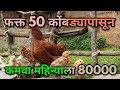 आता 20 वर्षांचा तरुण असो अथवा 80 वर्षाचा वयस्कर - फक्त 50 कोंबड्यांपासून दर महिन्याला कमावणार 80000