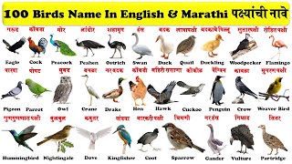 100 birds name in english and marathi with pictures and pdf | 100 पक्ष्यांची नावे |