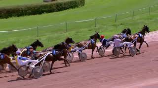 Vidéo de la course PMU PRIX DE TOULOUSE