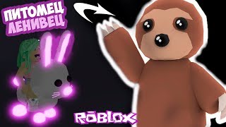 Купила 4 Ленивца в адопт ми!  обновление в adopt me в роблокс, питомцы в адопт ми. Roblox