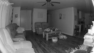 Multiple orbs setting off motion camera