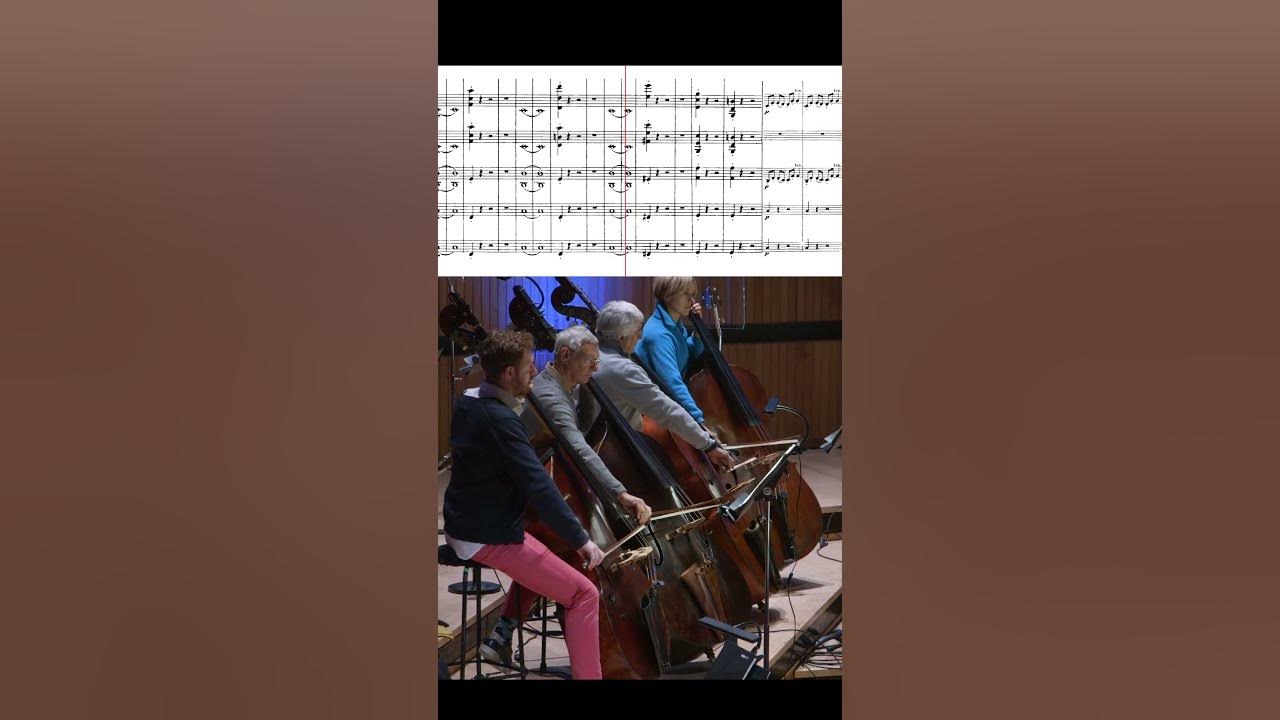 Beethoven's Coriolan Overture 🎶  #orchestra  #classicalmusic #beethoven