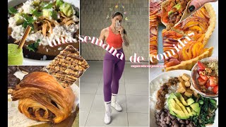 UNA SEMANA DE COMIDAS vegan, alto en prote y deli  Collab Dossier