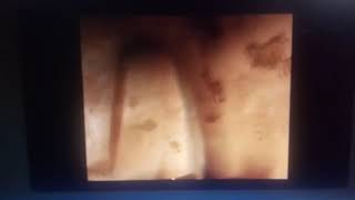 Ice Age 3 Video Game Story Cutscene Ps2