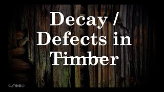 BMCP: Decay / defects  of timber