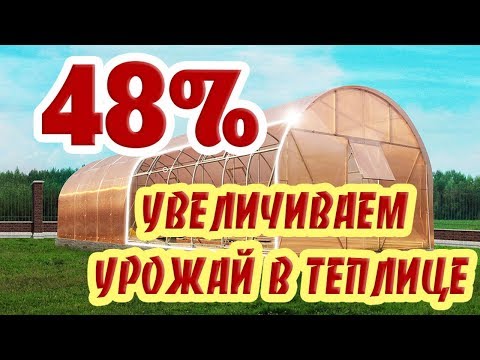 Video: Mga Greenhouse At Hotbbed Na Ginawa Ni Teplichkin