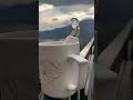 Iceman Youtube Shorts 