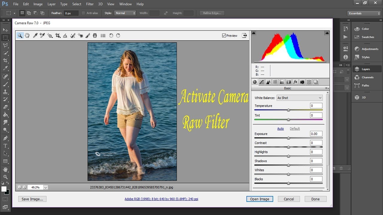 download camera raw 8.7 for photoshop elements 11