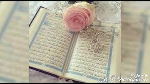 تلاوه رائعه للشيخ محمد صافي بارك الله فيه