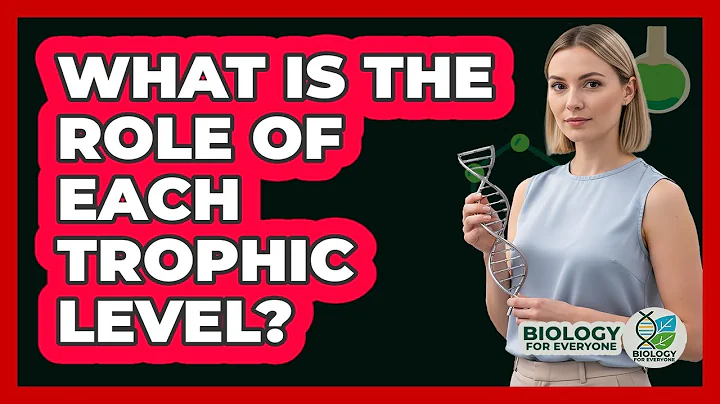 What Is the Role of Each Trophic Level?