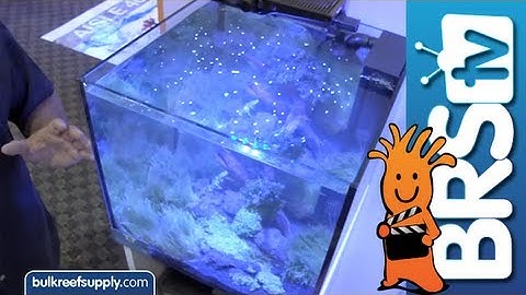 MACNA 2013: Elos Aquariums - BRStv Product Spotlight