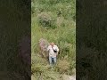 🇺🇦 Краса відродженого Каховського моря.