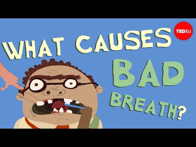 【TED-Ed】What causes bad breath? - Mel Rosenberg