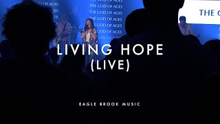 Living Hope (Live - Weekend Service) // Eagle Brook Music Eagle Brook Service Times