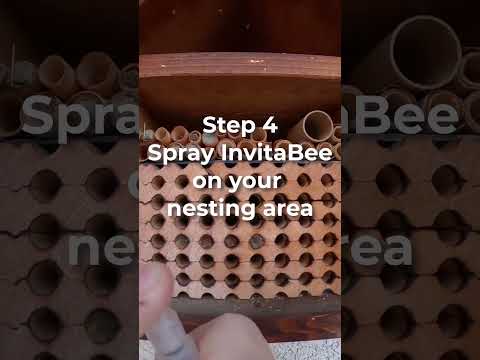 Stop scrolling—start buzzing!