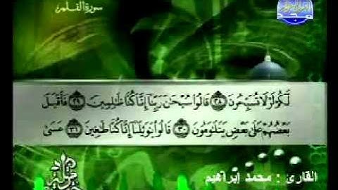 سورة القلم القارئ محمد إبراهيم